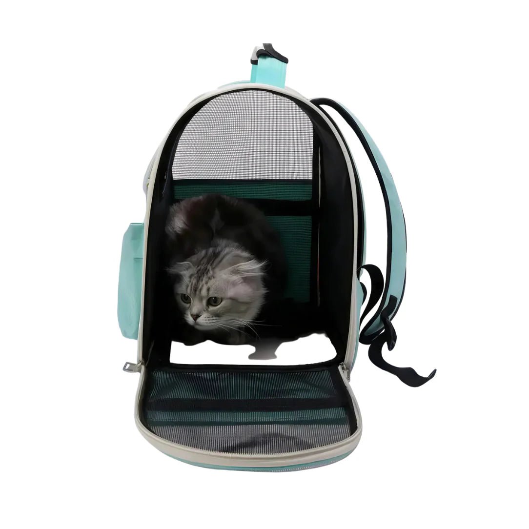 confort sac chat