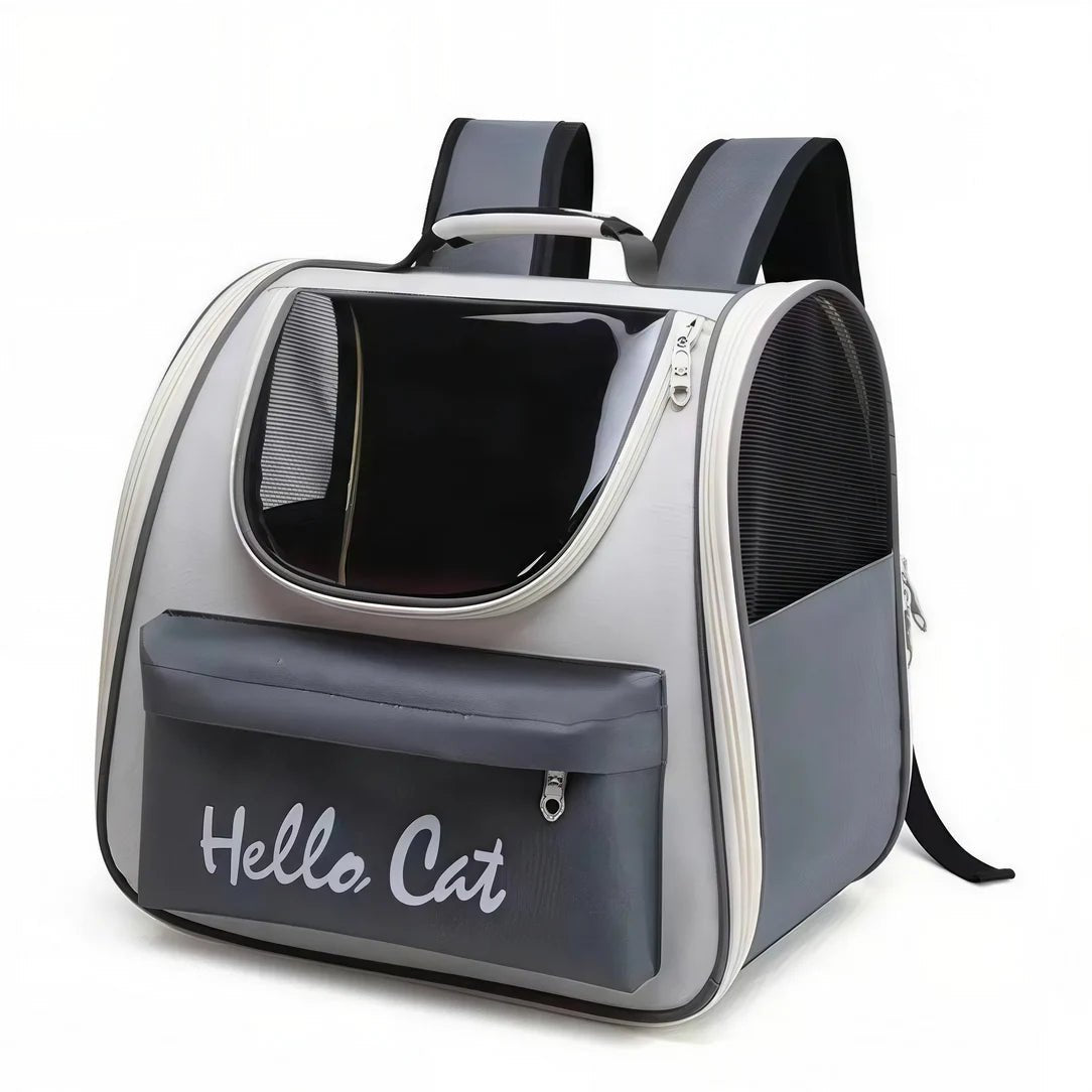 sécurité sac à dos chat