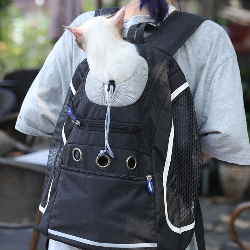 sac expédition chat