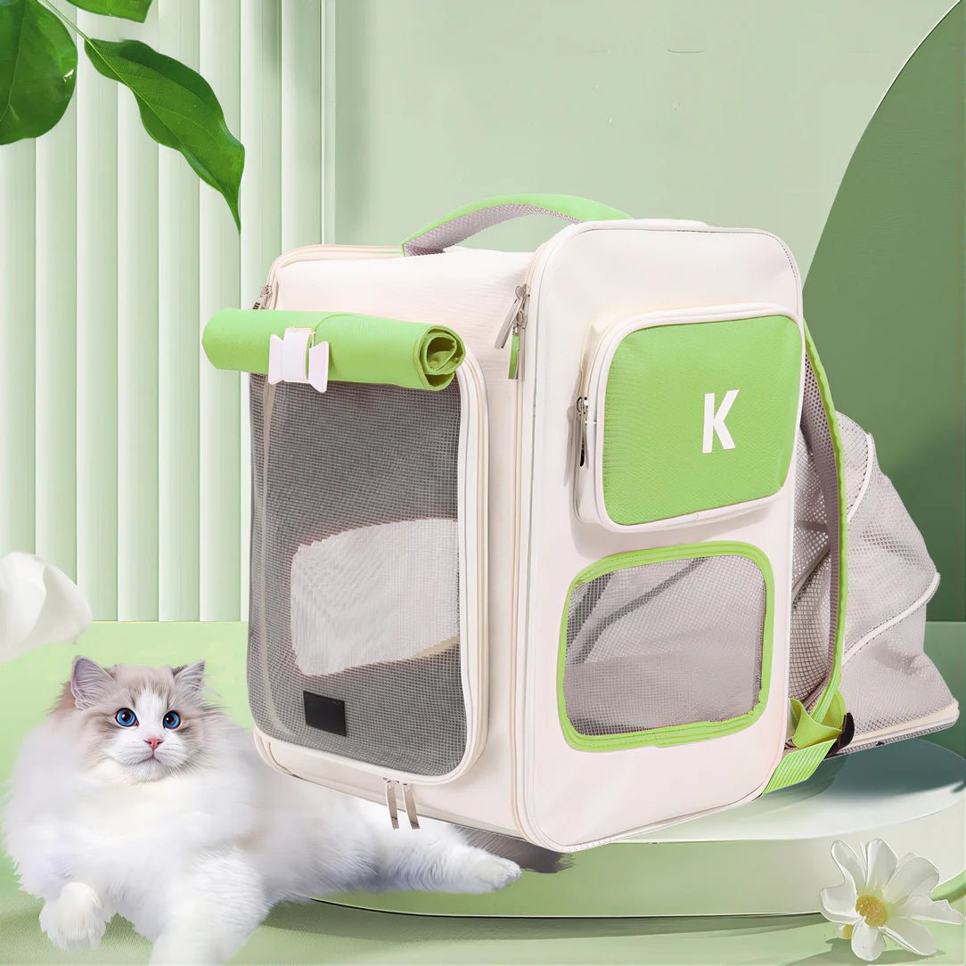sac à dos adapté pour chat