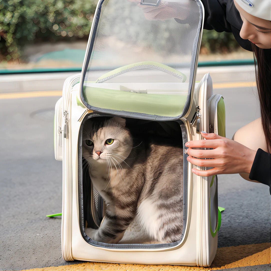 sac à dos pratique pour chat
