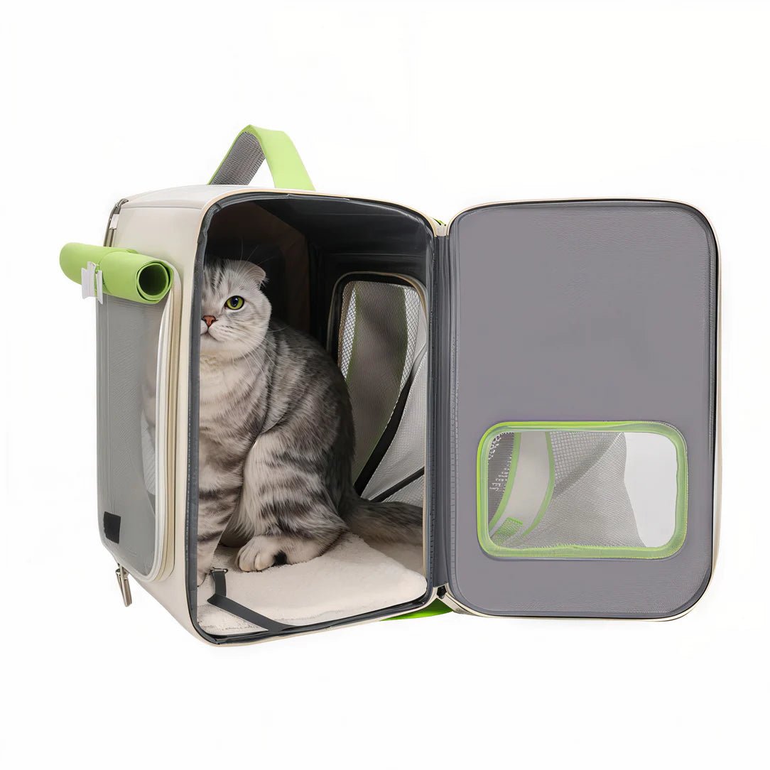 sac moderne pour chat