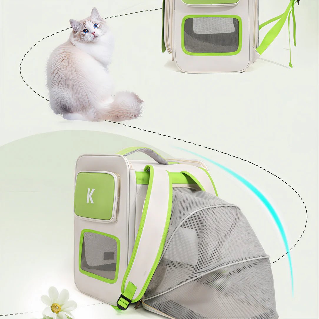 sac à dos avec ventilation pour chat
