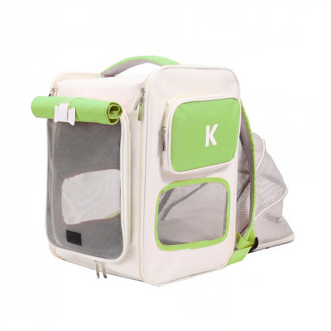 sac à dos design pour chat
