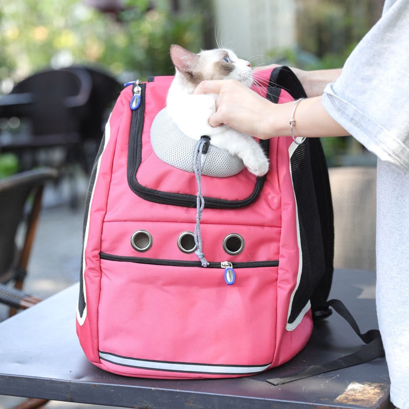 sac chat design innovant