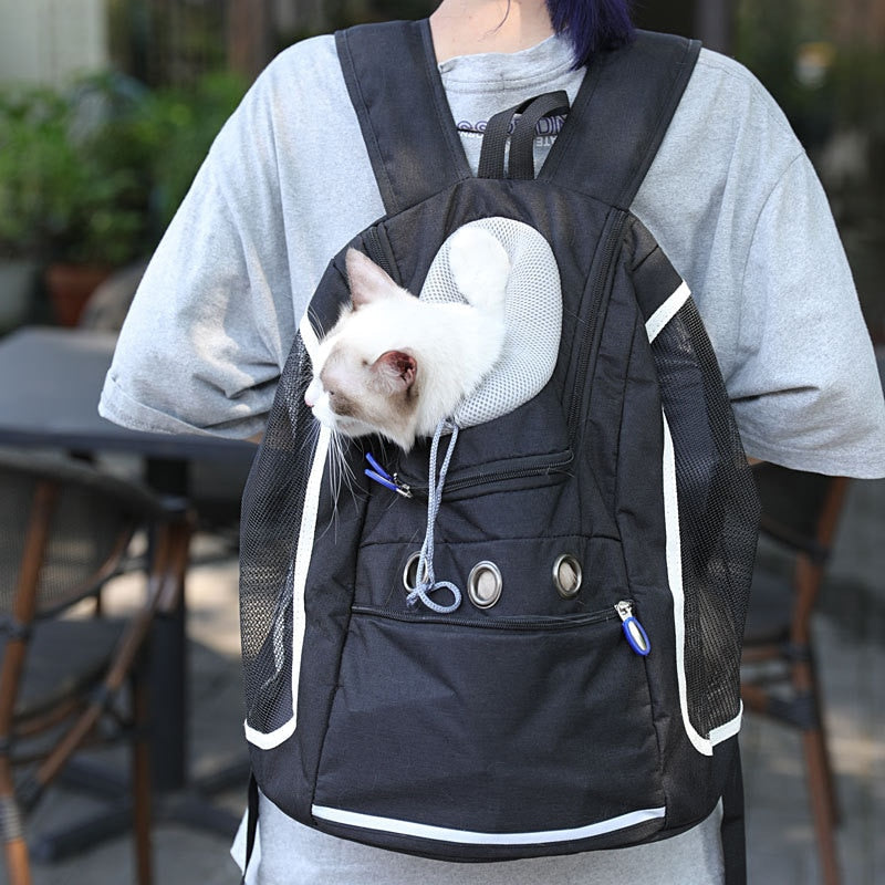 sac à dos pour chat MaineCoon