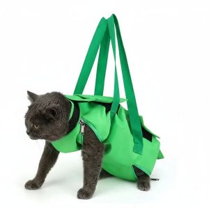 sac à dos pour chat