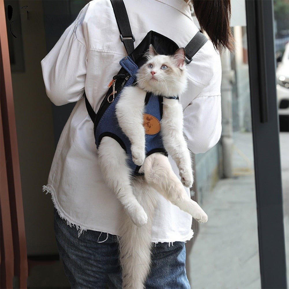 voyage confortable avec chat