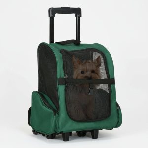 sac à dos de transport pour chat
