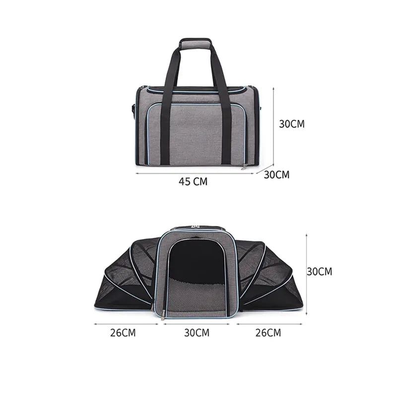 accessoire chat voyage