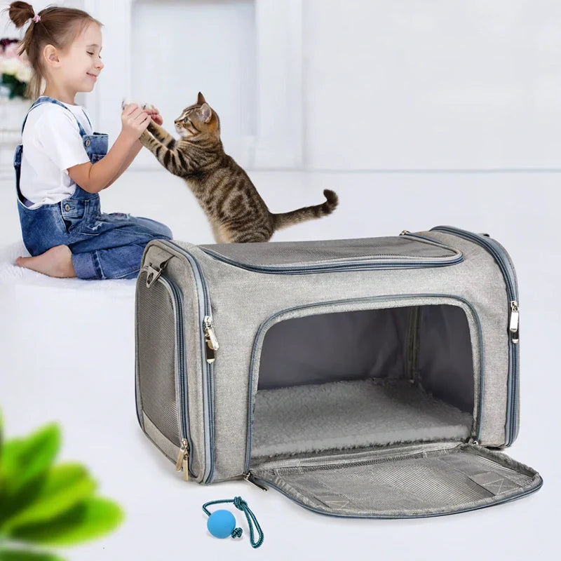 accessoire pour chat voyage
