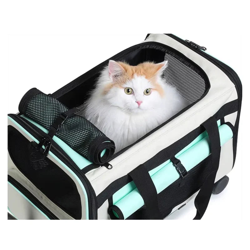sac pour chat en Oxford