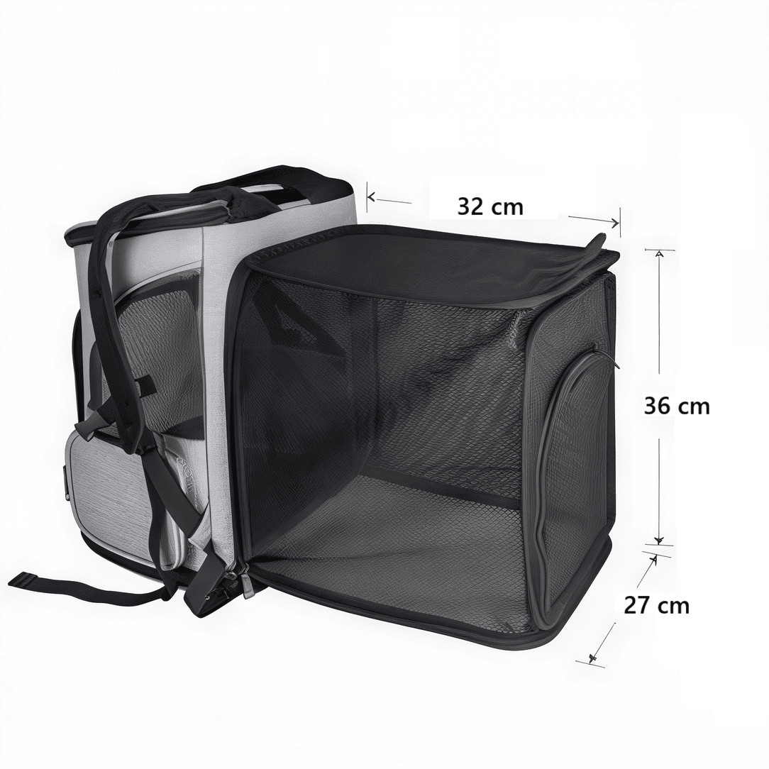 design innovant sac chat
