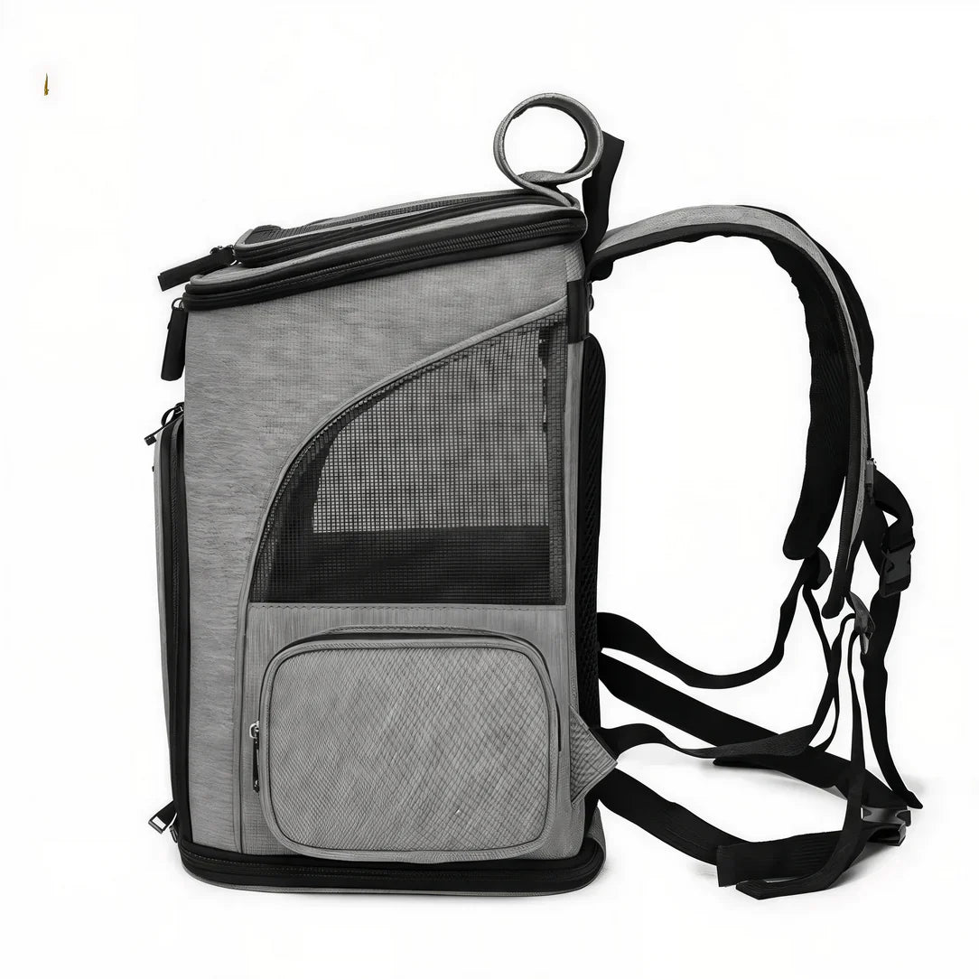 sac extensible chat