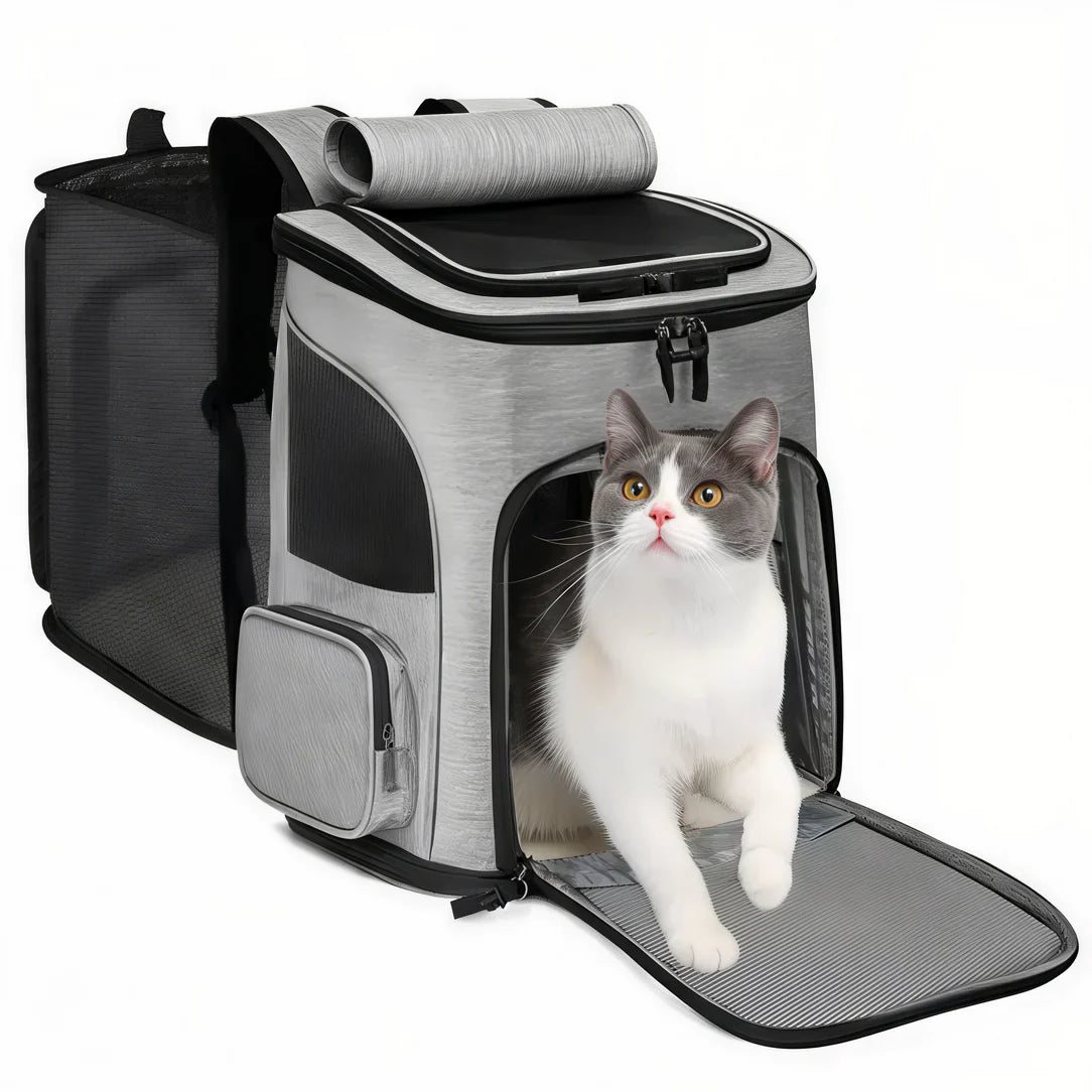 confort sac chat