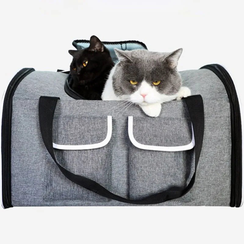 transport double pour chats