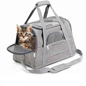 sac de transport pour chat MaineCoon
