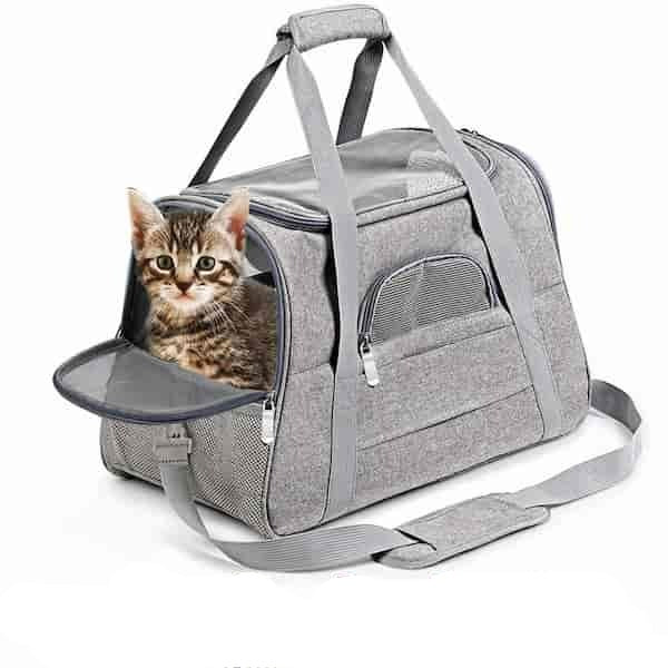 sac de transport pour chat MaineCoon