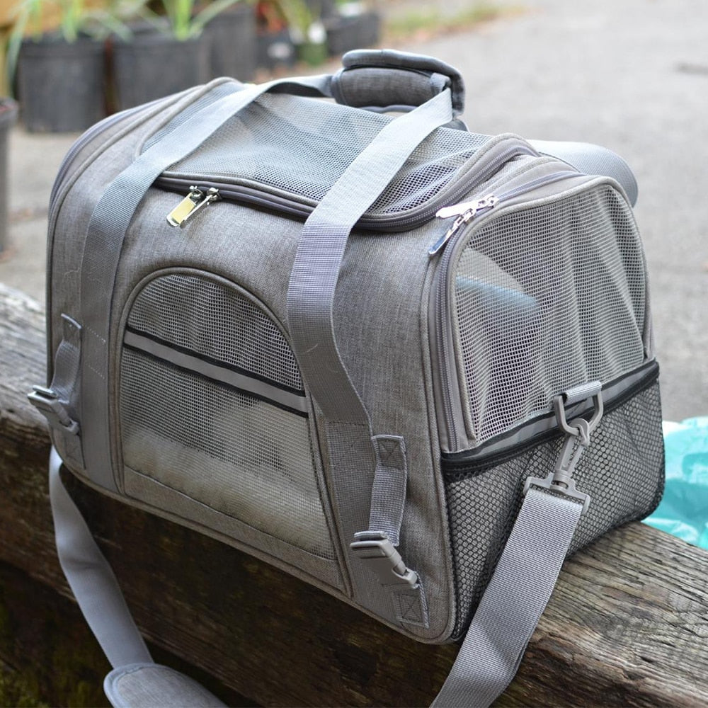 sac aéré pour chat MaineCoon