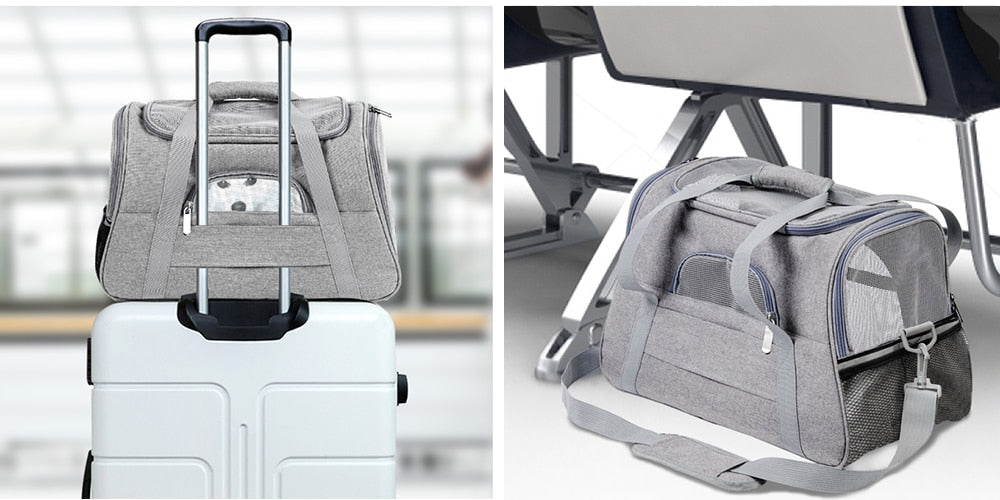 sac de transport solide pour chats