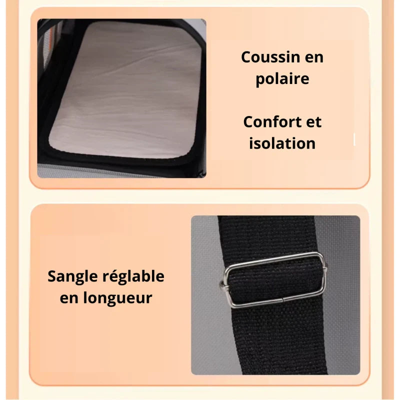 sac pour chaton design