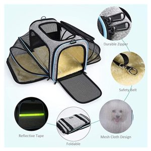 sac extensible chat MaineCoon