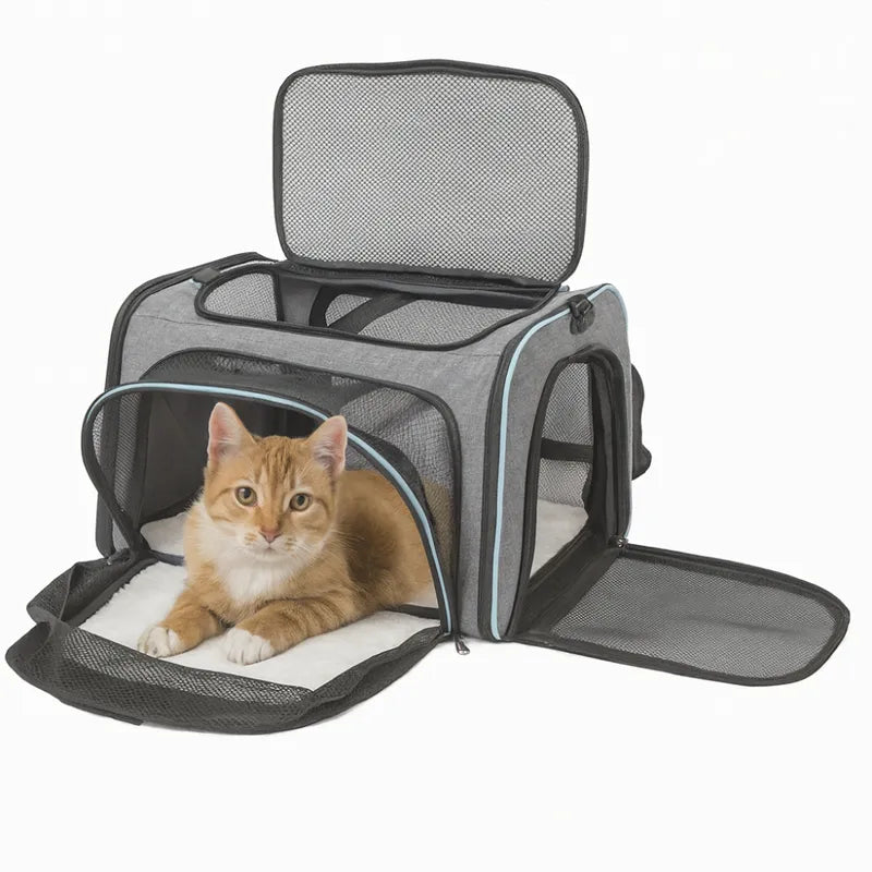 sac léger pour chat