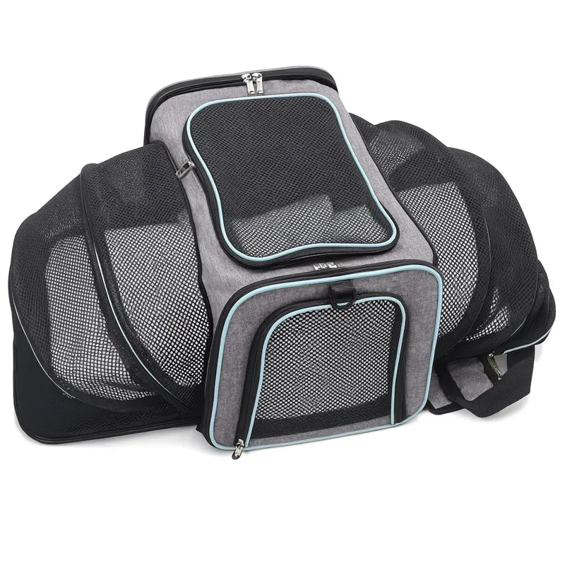 sac de promenade pour chat