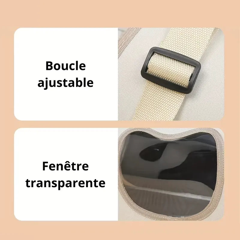 transport chat élégant