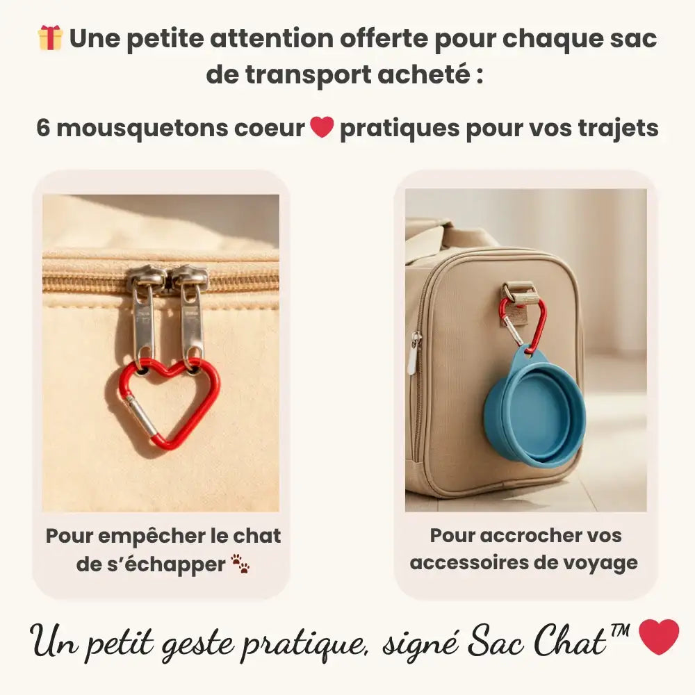sac en toile pour chat