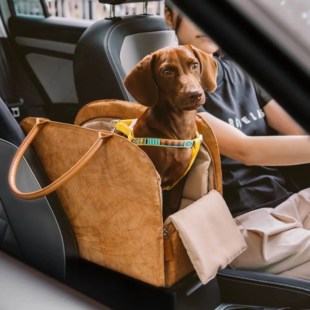 sac élégant pour chat