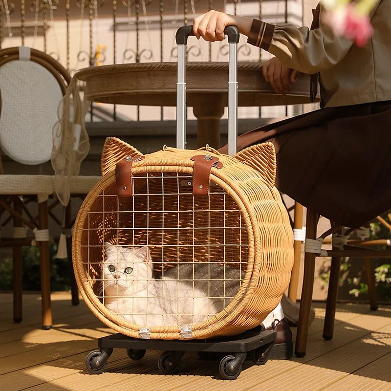 valise à roulettes pour chat