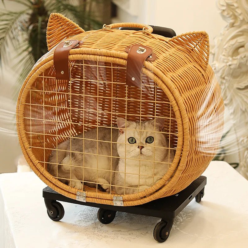 transport chat osier