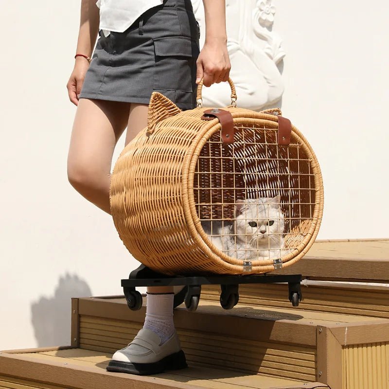 accessoire de voyage pour chat