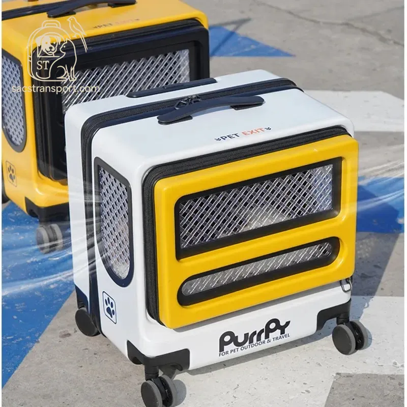 valise durable pour chatons