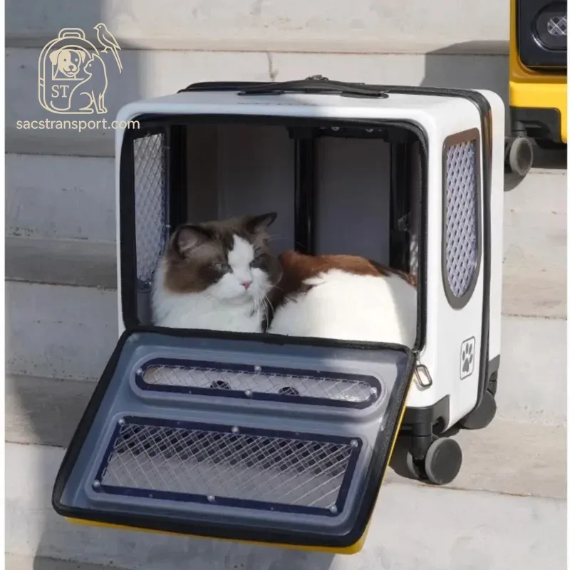 sécurité valise de transport