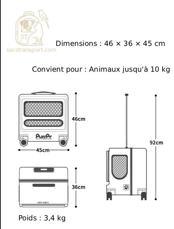 fermeture sécurisée valise chatons