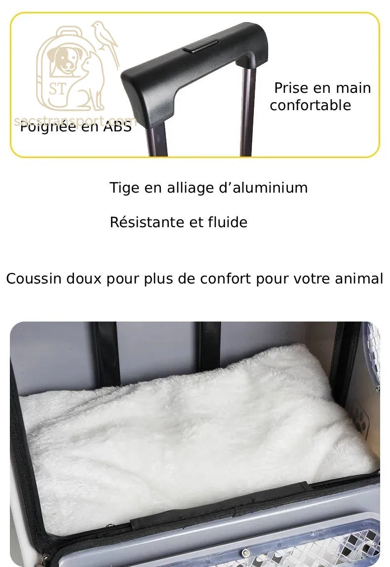 valise pour voiture et maison